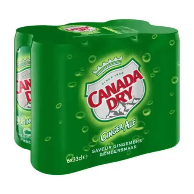 CANADA DRY 24X33CL